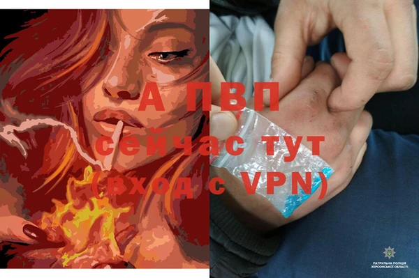 гашик Зеленодольск