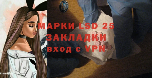спиды Инсар