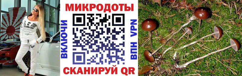 Галлюциногенные грибы MAGIC MUSHROOMS Купить Зима